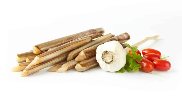 Comment choisir le meilleur couteau de chef pour votre cuisine ?